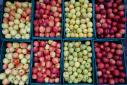 România produce tone de mere gustoase, dar aproape nimeni nu le vrea. Cumpărătorii preferă fructele cu aspect frumos