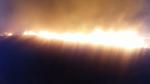 Incendiu de proporții în Buzău. Zeci de hectare de stuf şi vegetaţie uscată, înghiţite de flăcări în miez de noapte