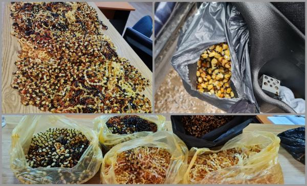 Un turc a vrut să intre în România cu zeci de kilograme de chihlimbar. Pietrele preţioase erau ascunse în roata de rezervă şi în portiere