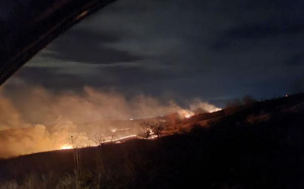 Un incendiu de vegetație a pus în pericol un sanctuar pentru cai în Prahova. Focul, foarte aproape de mai multe sonde