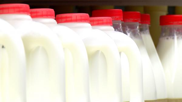 Lapte mai scump din cauza războiului. Creşterea preţurilor, resimţită deja în alte ţări, ar putea afecta curând România