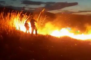 Incendii de vegetaţie în Bacău. Pompierii, solicitaţi la nu mai puţin de 103 intervenţii