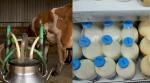 Valul de scumpiri continuă: Drumul laptelui, de la 3,5 lei la producător la 7 lei în magazin