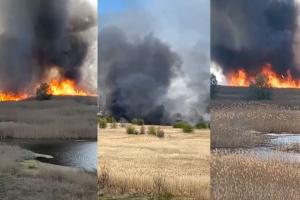 Incendiul din Delta Văcărești a fost lichidat.  Au ars 15 mii de metri pătrați. Intervenția pompierilor, îngreunată de vânt
