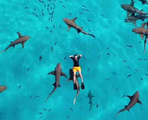 Hotel de lux în Maldive, la pachet cu rechini: "Veniţi să trăiţi acest vis uimitor, împreună cu noi"