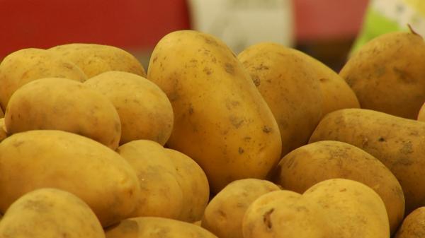 Cartofii s-au scumpit foarte mult în ultimul an. Statul îi va ajuta pe cei care se ocupă cu cultivarea cartofilor
