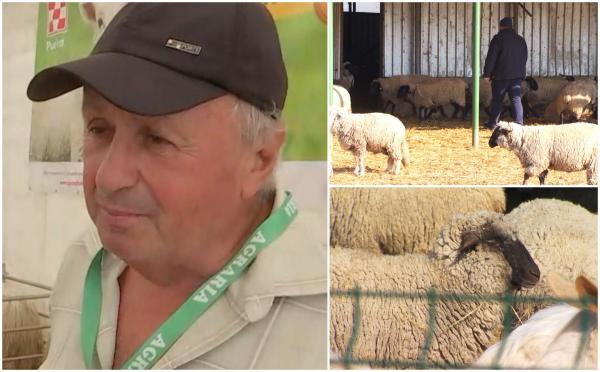 Oferă salariu de 1.500 de euro pe lună, dar nu vrea nimeni să se angajeze: "Doar dă cu bâta şi păzeşte oile"