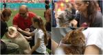 Câini şi pisici, adoptaţi direct de pe Arena Naţională, la cel mai mare târg de adopţii din acest an