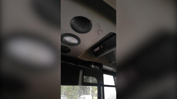 Probleme în autobuzele STB în timpul codului roşu de vijelii: un călător a filmat cum plouă înăuntru