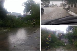 Străzi inundate, copaci căzuţi şi trafic blocat, după ce a plouat cu găleată în mai multe localităţi din ţară