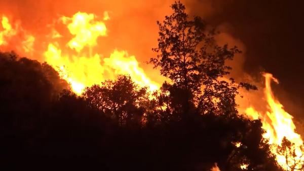 Alertă extremă în Spania. Regiunea Catalonia, lovită de incendii de vegetaţie din cauza caniculei