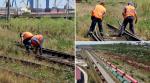 Cum se "reabilitează" șinele de cale ferată în Constanța: Muncitorii smulg bălăriile cu mâna şi aşteaptă utilaje de care nimeni nu ştie nimic