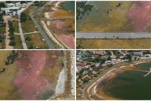 Cel mai cunoscut lac de pe litoral a devenit roz. Care este explicaţia acestui fenomen