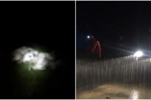 Un cioban din Gorj a murit în munţi, după ce a fost lovit de fulger. Alături au fost găsite moarte peste 100 de oi