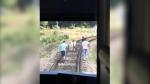 Un măgar şi doi ponei au oprit un tren de călători care circula pe ruta Oradea - Cluj. Animalele mergeau pe şina tren