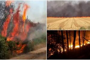 "Vai de capul meu! Vine focul, arde pădurea". Incendiile fac prăpăd în mai multe judeţe din ţară, o femeie a fost găsită carbonizată pe câmp