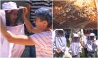 Atelier ''dulce'' pentru cei mici. Copiii din Iaşi au admirat albinele şi au învăţat cum să extragă singuri mierea