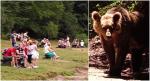 Turiștii își riscă viața pentru un selfie. Ce li se pregătește celor care vor fi surprinşi hrănind urșii, în zona Lacului Sfânta Ana
