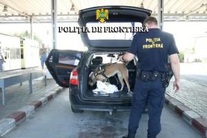Doi polonezi, prinşi cu substanţe interzise la intrarea în România. Tinerii se îndreptau spre festivalul Untold