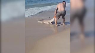 A plecat la pescuit, însă a ajuns să se lupte cu un rechin. Imaginile surprinse pe o plajă din New York