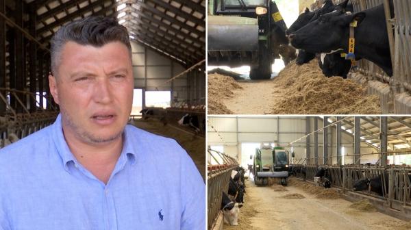 De ce se închid fermele de vaci din România una după alta: "Acest sector e distrus aproape spre 100%"