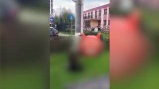 Bătaie cruntă între două eleve de la o școală din Râșnov. Martorii nu s-au sinchisit să le oprească
