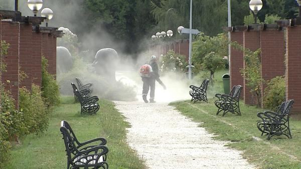 Zeci de angajaţi ai Primăriei au făcut curat pe insula din parcul Herăstrău: Am auzit că vine şi televiziunea să ne filmeze