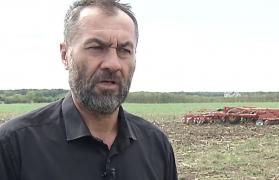 Daniel a investit în 200 de hectare de cultură de grâu. Acum riscă să rămână fără recoltă din cauza crizei de îngrășământ cu care se confruntă România