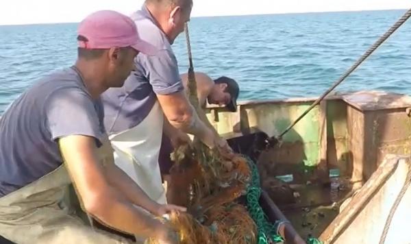 Sute de kilograme de plase de pescuit abandonate și deșeuri, strânse din Marea Neagră de voluntari