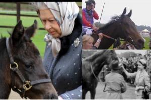 Regele Charles scoate la vânzare 12 dintre caii de curse ai Reginei
