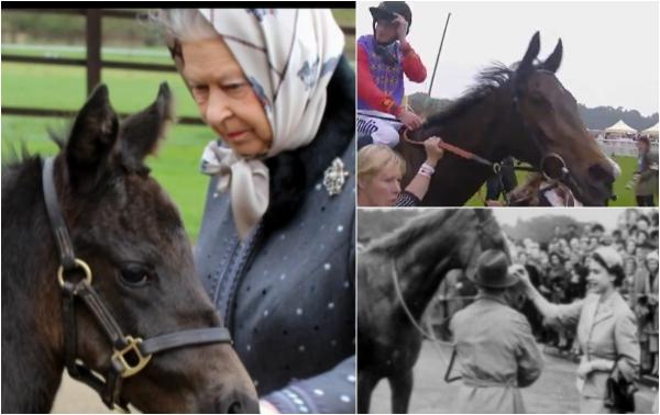 Regele Charles scoate la vânzare 12 dintre caii de curse ai Reginei