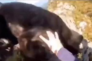 Momentul în care un alpinist se luptă cu mâinile goale cu un urs. Cum s-a terminat confruntarea