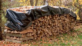 Românii care pot cumpăra lemne de foc la preț subvenționat. Trebuie să îndeplinească o condiţie