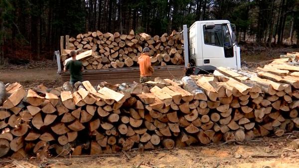 Ordonanța care plafonează prețul lemnelor de foc, adoptată tacit de Senat. Deputații urmează să decidă cât vor avea de plătit pentru încălzire peste 3 milioane de gospodării din România