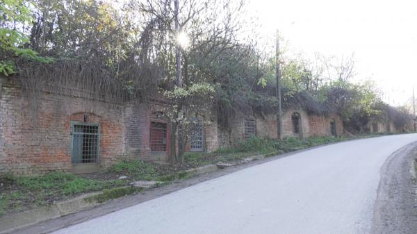 Satul din România cu o mie de pivniţe. Beciurile de peste 300 de ani ar putea fi introduse în circuitul turistic