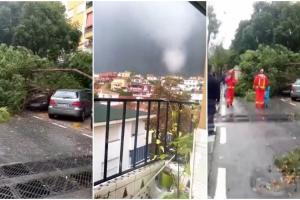 O mini-tornadă a făcut ravagii în Spania. Copacii căzut au avariat mașinile parcate și au blocat străzile