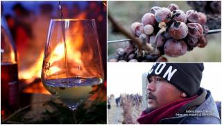 Secretul vinului românesc pe care îl bea şi Papa. Recolta uriaşă a adus la noi şi muncitori nepalezi: "E o mare diferenţă în România"