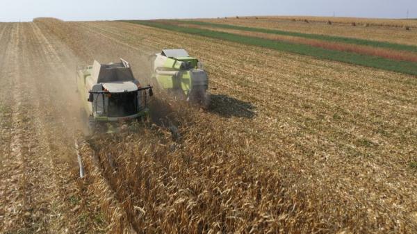 Cea mai mare cooperativă agricolă românească, cu 10.000 de fermieri, anunță o măsură împotriva Austriei