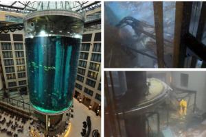 A explodat cel mai mare acvariu cilindric din lume: 1.500 de pești exotici se aflau în acvariul din Berlin