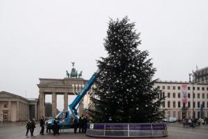 Două activiste de mediu au tăiat vârful bradului din faţa Porţii Brandenburg din Berlin. "Colapsul climatic e foarte aproape"