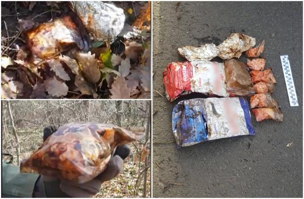 Reacţia vânătorului de comori care a găsit droguri de 2.000 de euro în Pădurea Băneasa