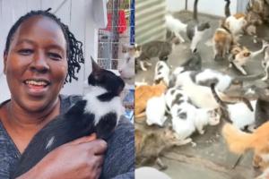 Cum a ajuns o femeie din Kenya să își împartă locuinţa cu 600 de pisici. "Eu locuiesc într-un colţ"