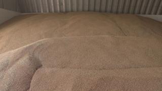 "Traderii mari nu mai cumpară de la noi". Importurile de cereale din Ucraina, o lovitură pentru fermierii români
