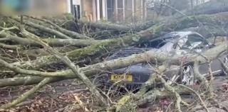 Furtuna Otto face ravagii în nordul Europei. Peste 30.000 de case din Marea Britanie, rămase fără curent