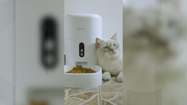 Cât costă robotul care are grijă de animalul tău de companie cât timp eşti plecat: "Pot seta când să fie hrănit sau pot vorbi cu el prin telefon"