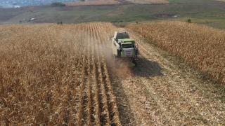 Importăm de 700 de ori mai multe cereale din Ucraina, în timp ce fermierii români sunt în faliment: "Nimeni nu vrea să îl cumpere. Grâu bun"