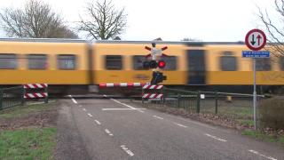 Olandezii, blocaţi de bursuci: Cum au dat animalele peste cap circulaţia trenurilor. Zeci de mii de oameni, afectaţi