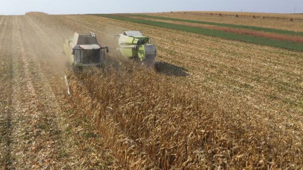 Scandalul cerealelor, dezbătut la Bruxelles. România ameninţă cu măsuri dure dacă fermierii nu sunt ajutaţi