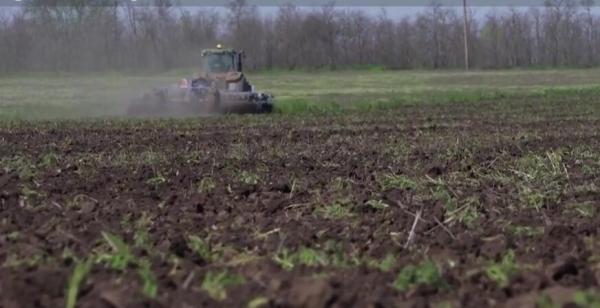 Fermierii speră la un an mai bun pentru recolta de cereale. Oamenii așteaptă ploile, în lipsa unui sistem de irigaţii