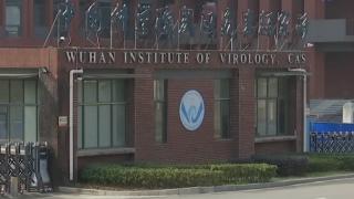 SUA: Virusul care a provocat pandemia Covid ar fi scăpat accidental din laboratorul din Wuhan